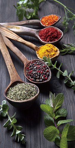 Wooden spoons with spices | Glasplaat | 40 x 80 cm