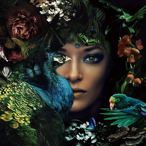 Lady the Peacock | Glasplaat | 100 x 100 cm