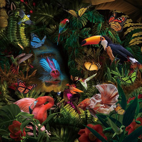 Colour Jungle Paradis | Glasplaat | 100 x 100 cm